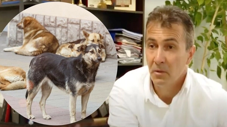 Primarul din Dobrovăț, Cătălin Martinuș, cercetat pentru abuz în serviciu! Totul, din cauza contractelor semnate cu firma Vetmedan