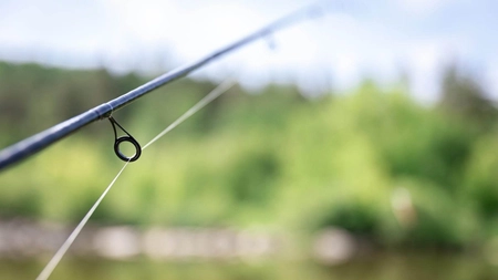 Recomandare de fir pentru feeder - Iată cum să faci alegerea corectă!