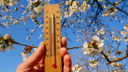 Cum o să se prezinte vremea în aprilie? Iată ce temperaturi se înregistrează de Paște!