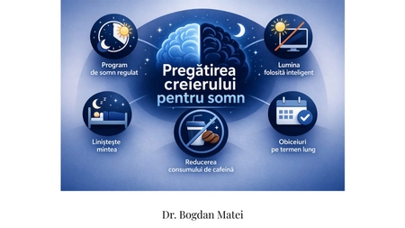 Biologia somnului (IX): Cum se pregătește creierul pentru somn