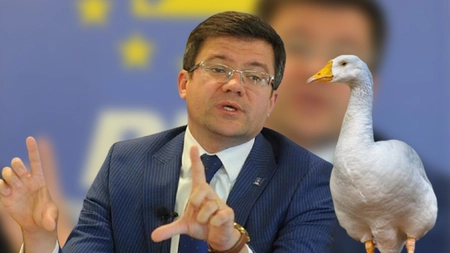 Costel „Tablă” Alexe, atitudine golănească la adresa unui jurnalist din Iași! Președintele CJ, scos din minți de întrebările acestora: „Cu creierul tău de gâscă, poți înțelege?”