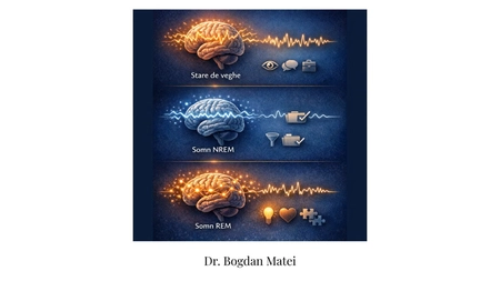Biologia somnului (VIII): Respectă ritmul somnului. Lasă creierul să lucreze pentru tine