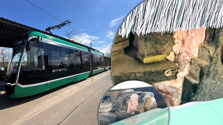 CTP Iași a scos la stradă tramvaiele Bozankaya după analiza tehnică cerută de primărie! Vagoanele au fost „cârpite” cu spumă poliuretanică la sistemul de frânare