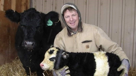 Cum arată o vacă pitică? Iată la ce mărimi ajunge aceasta!