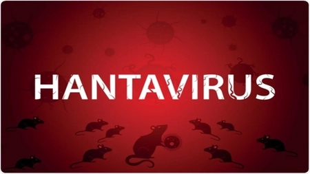 A avut loc evacuarea navei MV Hondius, la bordul căreia este un focar de hantavirus