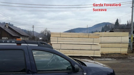 Activitatea Gărzii Forestiere Suceava în luna iulie 2026