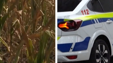 Două femei, mamă și fiică, găsite moarte într-un lan de porumb. Un bărbat de 51 de ani a fost reținut