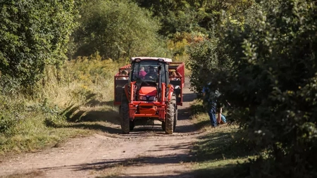 Fermierii din Iași au primit subvenții în valoare de 430.000 de lei. Plățile continuă în octombrie cu avansul pentru anul 2026