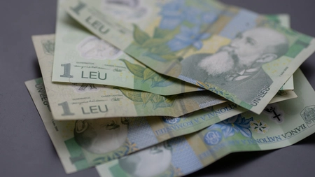 Leul, la cel mai slab nivel din istorie față de euro în piața interbancară