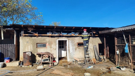 Incendiu la o anexă gospodărească din localitatea Sticlăria, comuna Scobinți. Un animal a fost salvat de pompierii militari