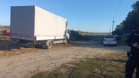 Transport ilegal de lemne în Iași. Marfa a fost confiscată de polițiști, Direcția Silvică a aplicat sancțiuni