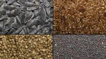 Care sunt semintele oleaginoase si de ce sunt benefice pentru sanatate