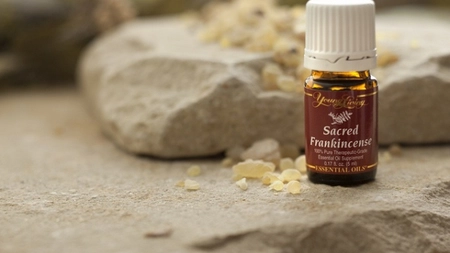 Uleiul esential de tamaie distruge tumorile de pancreas