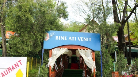 Pensiunea Padurea Sarului - Bobicesti

