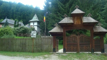 Gheorghe Plesu, parasit de arhitecti