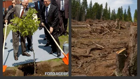 Caracatita mafiei lemnului din Romania. Gerald Schweighofer, decorat de Ion Iliescu