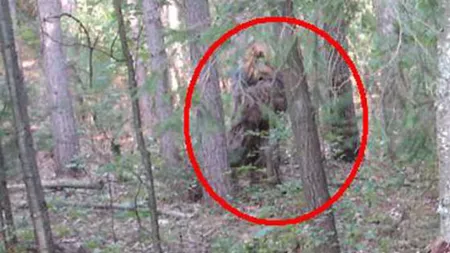 SCANDAL. Un vanator l-a omorat pe BIGFOOT si acuza AUTORITATILE ca au MUSAMALIZAT cazul - FOTO