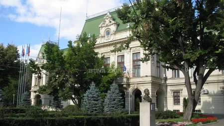 Sotia unui bogatas din Iasi, angajata in aparatul administrativ. Tanara ocupa un post cheie