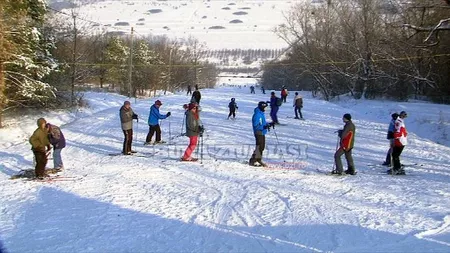 Iata orarul si tarifele la PARTIA din Iasi	
