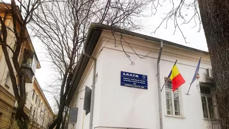 Mii de ieșeni și-au găsit un loc de muncă cu ajutorul AJOFM Iași