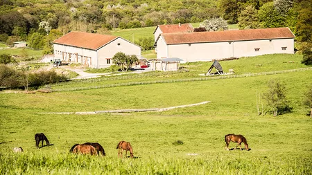 Primiți bani de la stat dacă faceți asta! Iată ce condiții trebuie să îndepliniți