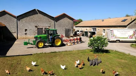 Fermierii ieșeni vor investi câteva milioane de euro în mediul rural