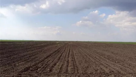 Atenție dacă aveți culturi ecologice! Trebuie să aduceți aceste documente la sediul Direcției Agricole