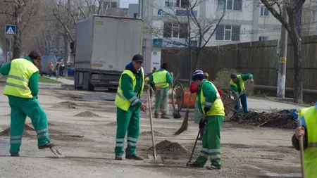 Firma de salubritate cumpără mături cu coadă de bambus, de 54.000 de euro