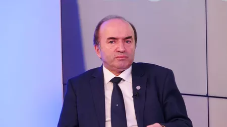 Prof. univ. dr. Tudorel Toader, atac dur la adresa Anei Birchall: 