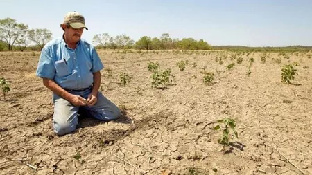 Secetă în România. Cum a afectat seceta extremă din 2020 culturile agricole din Iași. Fermierii așteaptă despăgubirile oferite de stat