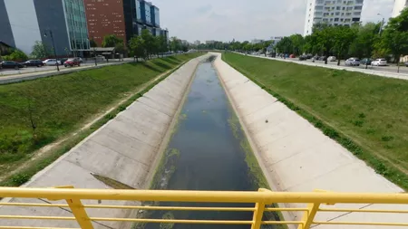 Sistemul de gospodărire a apelor Iași igienizează cursul de apă Bahlui în Municipiu - FOTO