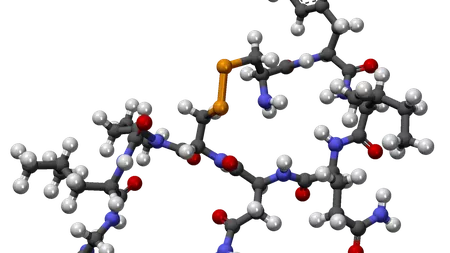 Oxitocina, hormonului dragostei, poate ajuta la tratarea bolii Alzheimer