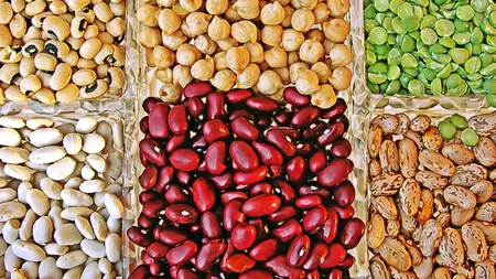 Proteina vegetala asigura longevitatea