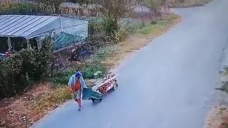 Se întâmplă în România: mort dus la groapă cu căruciorul și pubela de gunoi - Video