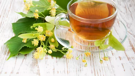 Ceaiul de tei: cum să culegi florile și să faci o băutură sănătoasă