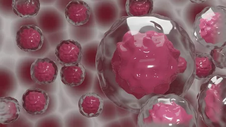 Oamenii de știință testează un anticorp bispecific care ajută celulele T zero în cazurile de cancer rezistente la tratament