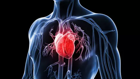 Bolile de inimă sunt o problemă gravă pentru întreaga omenire