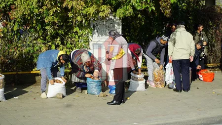 Comercianții de ciuperci care vând în afara pieței Alexandru, din Iași, verificați de autoritățile locale. Au fost aplicate amenzi de 11.000 de lei