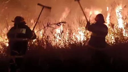 Incendiu amplu în Rezervaţia Deltei Dunării. Au ars circa 400 de hectare de vegetaţie - VIDEO
