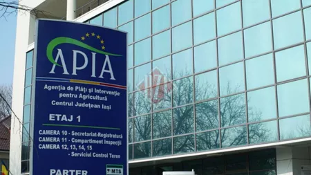 Viticultorii din Iași primesc 500 de euro la hectar, subvenție acordată de APIA pentru pierderile cauzate de pandemia de COVID-19 și secetă