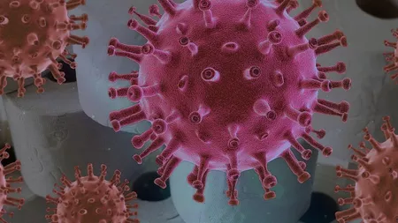 Coronavirusul a suferit o mutatie mai contagioasă?
