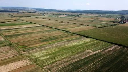 A crescut suprafața cu terenuri agricole tranzacționate la Iași în anul 2020, comparativ cu anul 2019. Un hectar s-a vândut cu 3.000 până la 10.000 de euro