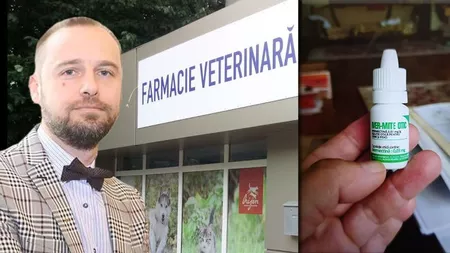 Medicii din Iași sunt în alertă! Un medicament administrat câinilor și pisicilor a dispărut din farmacii și depozite după ce ieșenii au aflat că îi vindecă de COVID-19