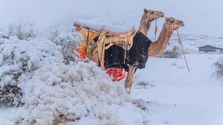 A nins în deșertul Sahara! Cel mai fierbinte loc al planetei, acoperit de zăpadă - FOTO/ VIDEO