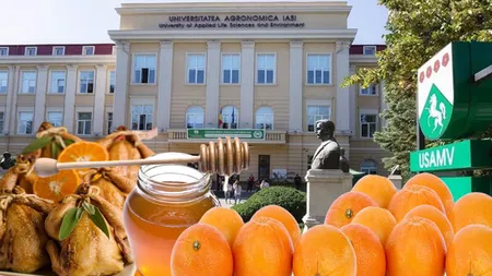 Teme inedite ale licențelor studenților de la Universitatea de Agronomie din Iași: rețete de pastramă din piept de pui, frăgezită în suc de portocale și miere de albine!