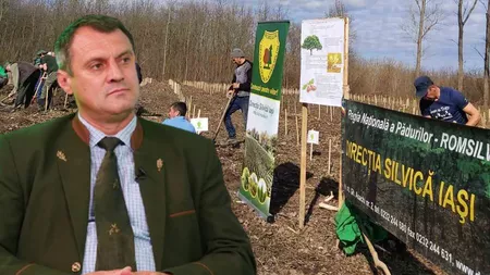 Direcția Silvică Iași demarează campania de împăduri începând cu data de 15 martie 2021. Vor fi plantate pe 130 de hectare un număr de 574.700 de puieți
