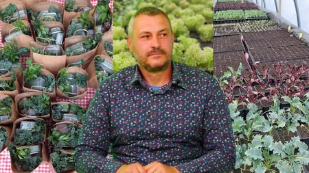 Un peisagist din Iași a investit, împreună cu soția, într-o afacere de succes cu legume ecologice. Familia Ivașcu vinde sute de coșuri cu legume proaspete câteva luni pe an. 