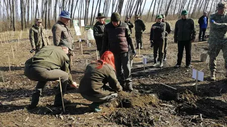 Direcția Silvică Iași și voluntarii campaniei anuale de împăduriri au plantat aproximativ 200.000 de puieți. Activitățile continuă până la jumătatea lunii aprilie 2021