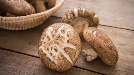 Această greșeală in prepararea ciupercilor Shiitake poate duce la otrăvire