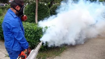 Bucureștenii vor avea de suferit din cauza țânțarilor, căpușelor, dar și a șobolanilor! Autoritățile au decis că dezinsecția nu este necesară